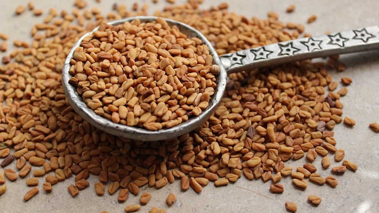 fenugreek