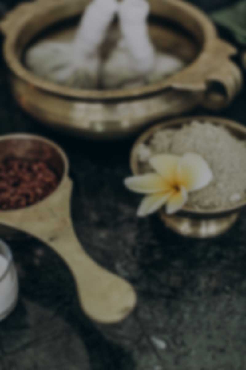 Oneworld Ayurveda Ubud (Oneworld Retreats) - Image 3